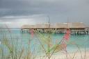 HoneyMoon 106.jpg